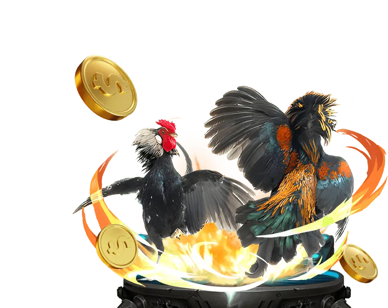 Đá gà momo game nổ hũ